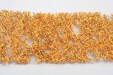 ミニネイチャー[910-14]白樺の枝葉(N)-深まる秋