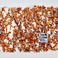ミニネイチャー[910-34]白樺の枝葉(1:45+)-深まる秋