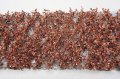 ミニネイチャー[920-24]ブナの枝葉(HO)-冬が来る