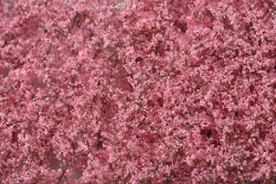 画像1: ミニネイチャー[928-21]ウグイスの声が聞こえる 紅梅