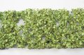 ミニネイチャー[930-21]カエデやモミジ(HO)-萌える春