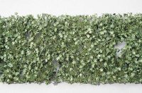 ミニネイチャー[930-22]カエデやモミジ(HO)-夏の盛り