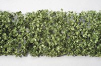 ミニネイチャー[933-22]広葉樹の葉(HO)-夏の盛り