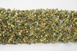 画像1: ミニネイチャー[933-23]広葉樹の葉(HO)-秋の訪れ