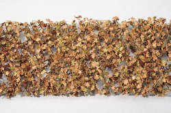 画像1: ミニネイチャー[933-24]広葉樹の葉(HO)-冬が来る