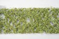 ミニネイチャー[980-21]カシの枝葉(HO)‐萌える春