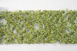 ミニネイチャー[980-21]カシの枝葉(HO)‐萌える春