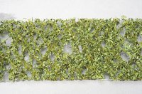 ミニネイチャー[980-21]カシの枝葉(HO)‐萌える春