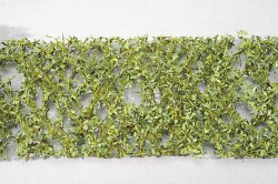 画像1: ミニネイチャー[980-21]カシの枝葉(HO)‐萌える春