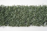 ミニネイチャー[980-22]カシの枝葉(HO)‐夏の盛り
