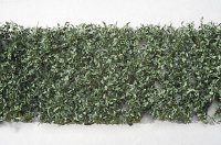 ミニネイチャー[980-22]カシの枝葉(HO)‐夏の盛り