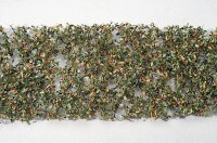 ミニネイチャー[980-23]カシの枝葉(HO)‐秋の訪れ