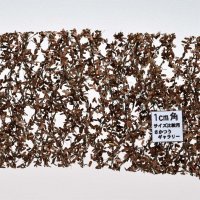 ミニネイチャー[980-24]カシの枝葉(HO)‐冬が来る