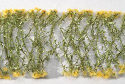 画像1: ミニネイチャー[997-22]スズメのかくれんぼ 夏の盛りに
