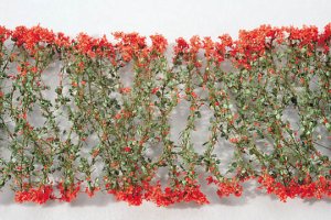 画像1: ミニネイチャー[998-23m]マイクロパック　赤い花 (1)