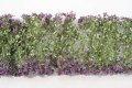 ミニネイチャー[998-24]紫の花