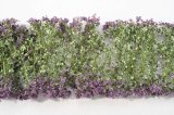 ミニネイチャー[998-24]紫の花