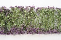 ミニネイチャー[998-24]紫の花