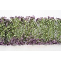 ミニネイチャー[998-24m]マイクロパック　紫の花