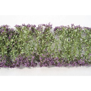 画像1: ミニネイチャー[998-24m]マイクロパック　紫の花 (1)
