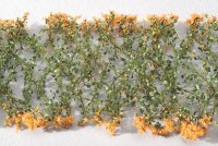 ミニネイチャー[998-25]南風に咲く 深紅の花