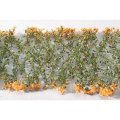 ミニネイチャー[998-25m]マイクロパック　南風に咲く 深紅の花