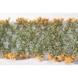 ミニネイチャー[998-25m]マイクロパック　南風に咲く 深紅の花