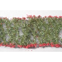 ミニネイチャー[998-26m]マイクロパック　南風に香る サーモンピンクの花