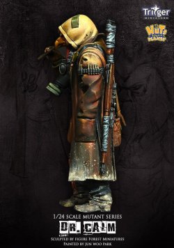 画像4: ナッツプラネット[TF75002]1/24 ドクター・カーム