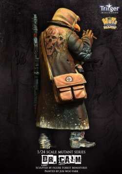 画像7: ナッツプラネット[TF75002]1/24 ドクター・カーム