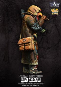 画像8: ナッツプラネット[TF75002]1/24 ドクター・カーム