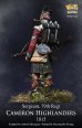 画像5: ナッツプラネット[NP-75002]1/24 近代 英 イギリス陸軍キャメロンハイランダーズ連隊 軍曹~1815年~