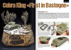 画像6: [DIO_012E]ディオラマグ VOL.12 国会議事堂への競争