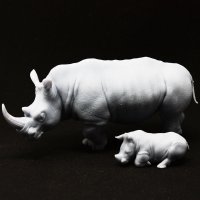 Scientific Models(サイエンティフィックモデルズ)[AFR2]A. ranger solo rhino