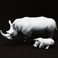 画像1: Scientific Models(サイエンティフィックモデルズ)[AFR2]A. ranger solo rhino