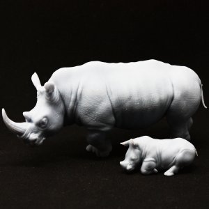 画像1: Scientific Models(サイエンティフィックモデルズ)[AFR2]A. ranger solo rhino (1)