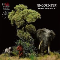 Scientific Models(サイエンティフィックモデルズ)[ELF]African elephant