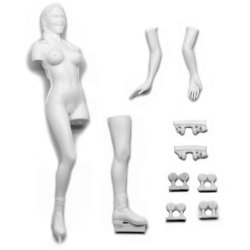 画像3: SOL MODEL[C203]1/12 MOTOR GIRL RORA (NUDE VERSION)