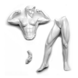 画像3: SOL MODEL[C401]1/9 BODY BUILDER -WOMAN- (NORMAL Ver.)