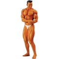 SOL MODEL[C433]1/9 BODY BUILDER - MAN