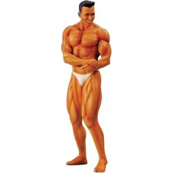 画像1: SOL MODEL[C433]1/9 BODY BUILDER - MAN