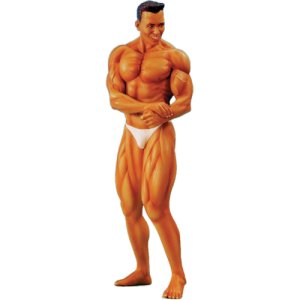 画像1: SOL MODEL[C433]1/9 BODY BUILDER - MAN (1)