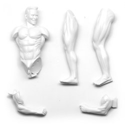 画像3: SOL MODEL[C433]1/9 BODY BUILDER - MAN