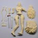 画像4: SOL MODEL[C522]1/9 NEY (4)