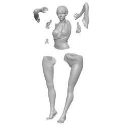 画像4: SOL MODEL[C700]1/24 ボーイレッグ姿のジイナ
