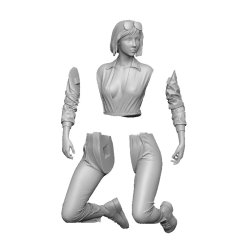 画像4: SOL MODEL[C703]1/24 メカニックガール ダイナ