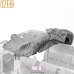 画像2: SOL MODEL[MM995]1/16 WWII アメリカ M3A1ハーフトラック キャンバストップ (2)