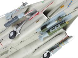 画像13: タミヤ[TAM61118] 1/48 グラマン F-14D トムキャット
