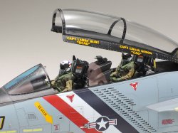 画像8: タミヤ[TAM61118] 1/48 グラマン F-14D トムキャット
