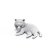 画像4: トリファクトリー[ZA-008A]1/24 ジオラマアクセサリー 猫セット(6点) (4)